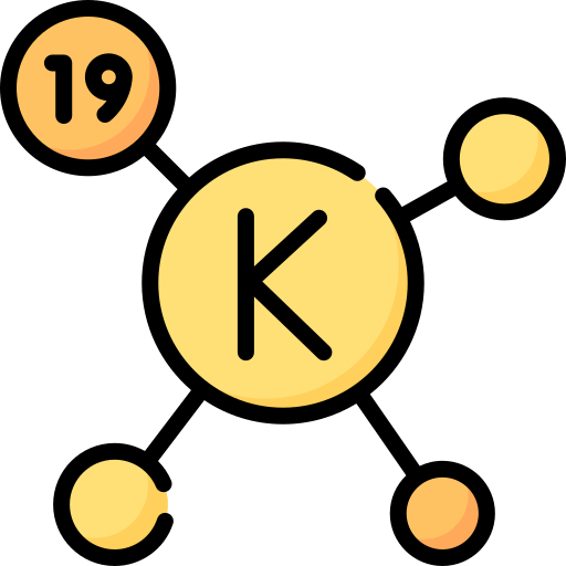 Potassium why is it so important