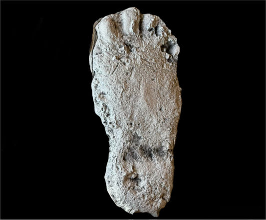 1991 Mill Creek Road